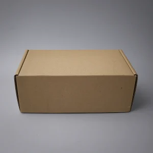 Caja L:24 x AN:15,4 x AL:9